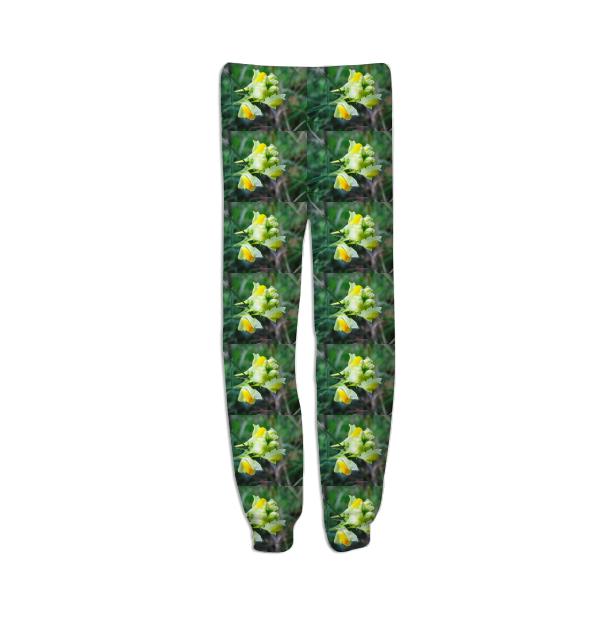 Linaria Flower Pattern Sweatpant