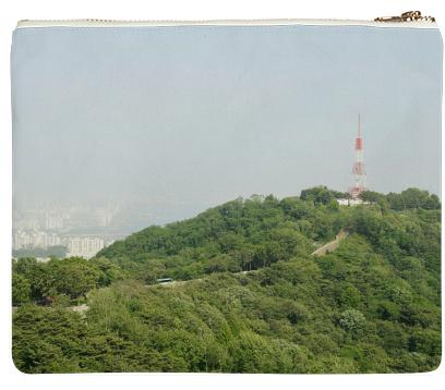 Seoul View Clutch