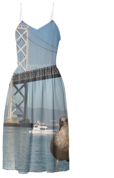 Cheeky Seagull Posing With Bay Bridge