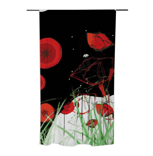 Black Bull Toro and Red Poppy field