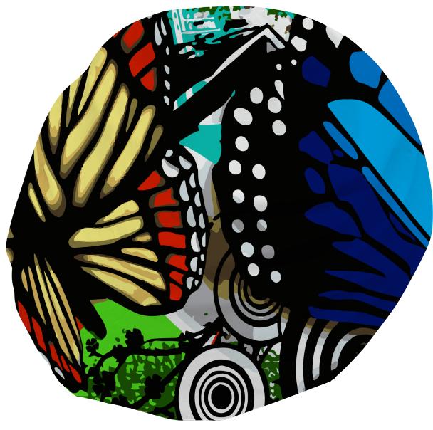 Butterfly wings Cape Town