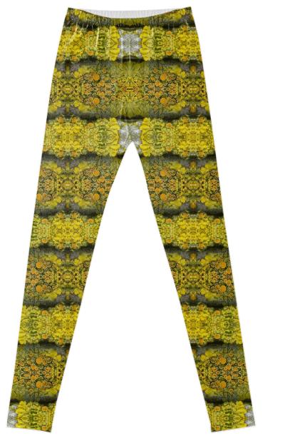 Yellow Lichen Leggings