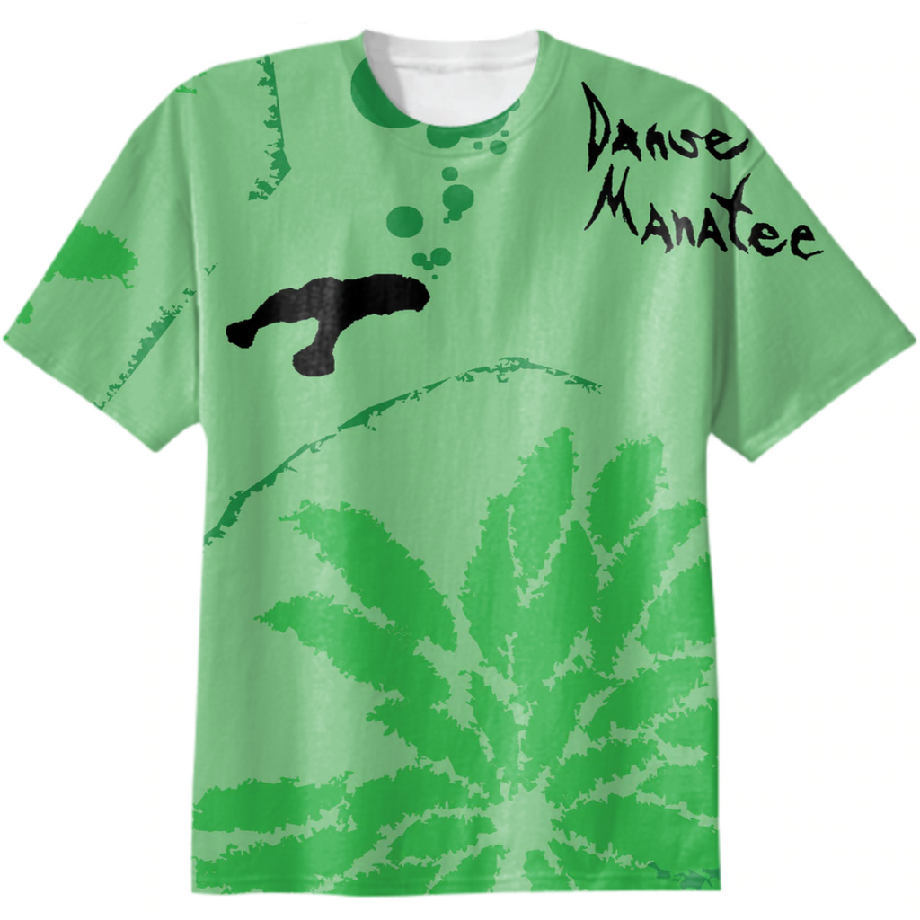 Animal Collective - Danse Manatee