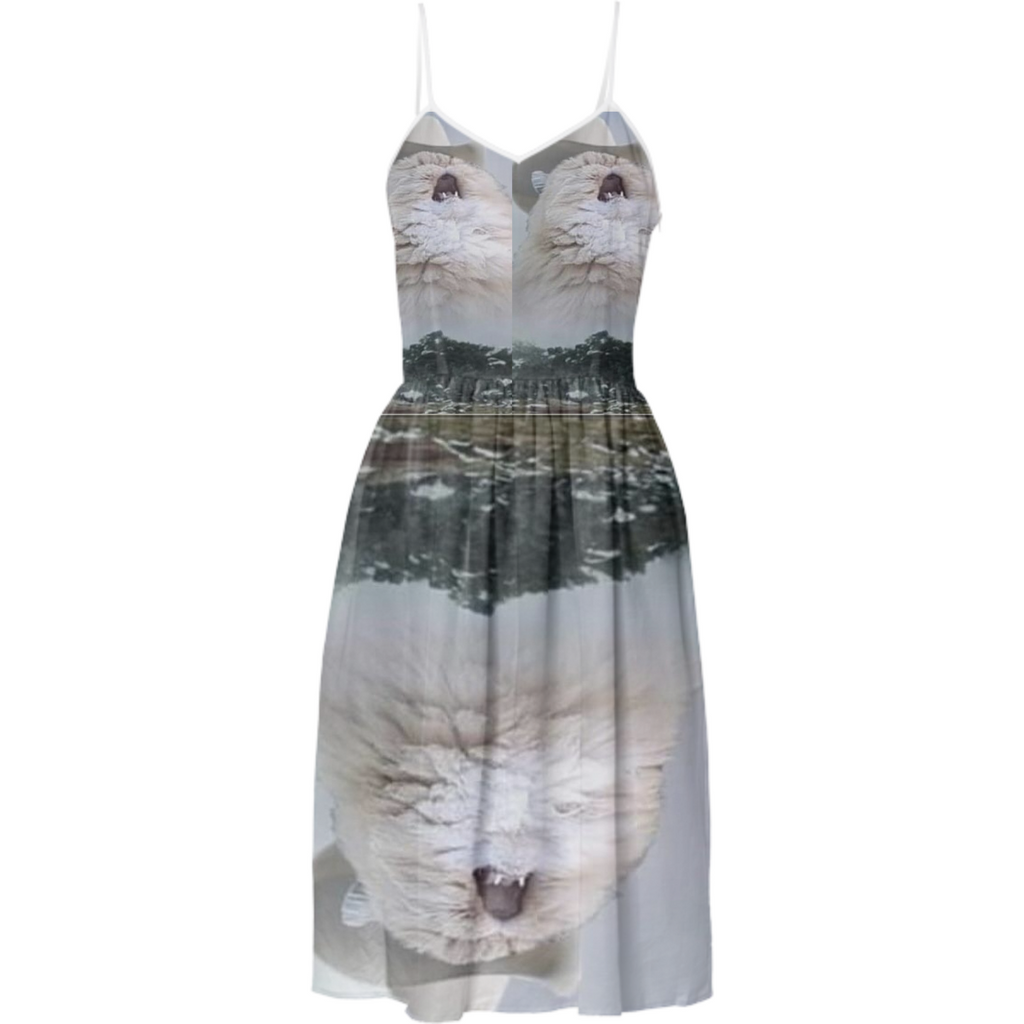 CatDress2