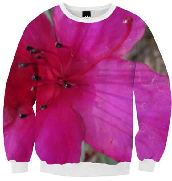Enlarged Pink Flower Sweater