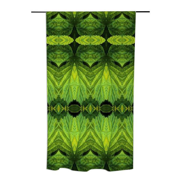 Evergreen Curtain