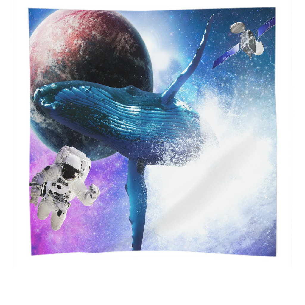 Galaxy Whale