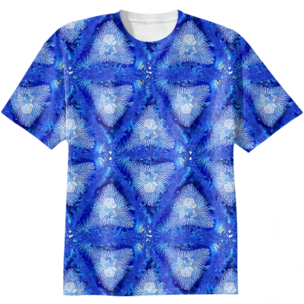 terry tulips, blue triangle, crystals, monochrome, minimalism, trend  year,