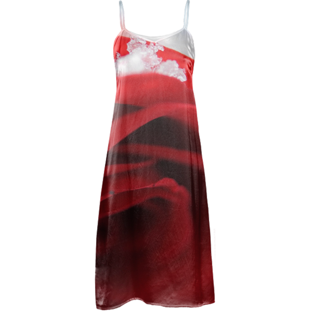 Snow Covered Rose Slip Dress