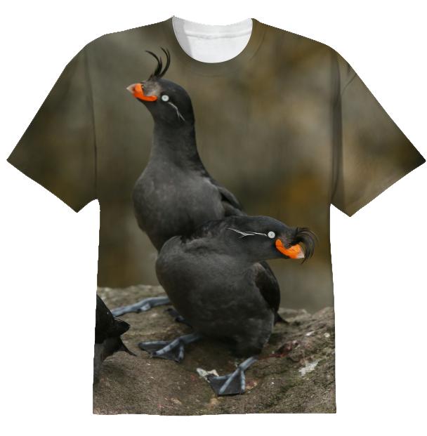 Crested Auklet tee