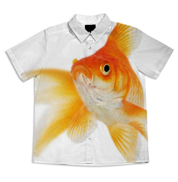 goldfish boyshirt