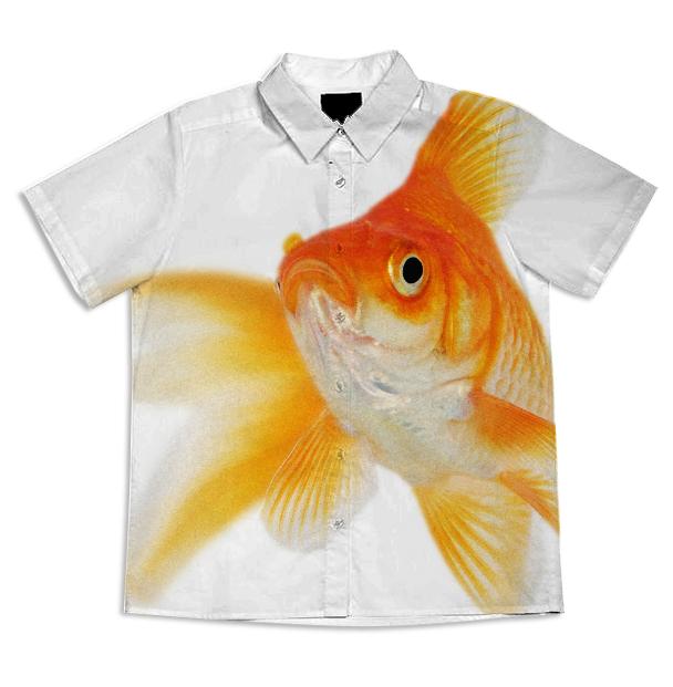 goldfish boyshirt