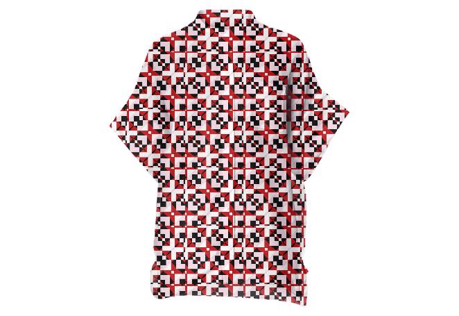 Black White and Red abstract geometric