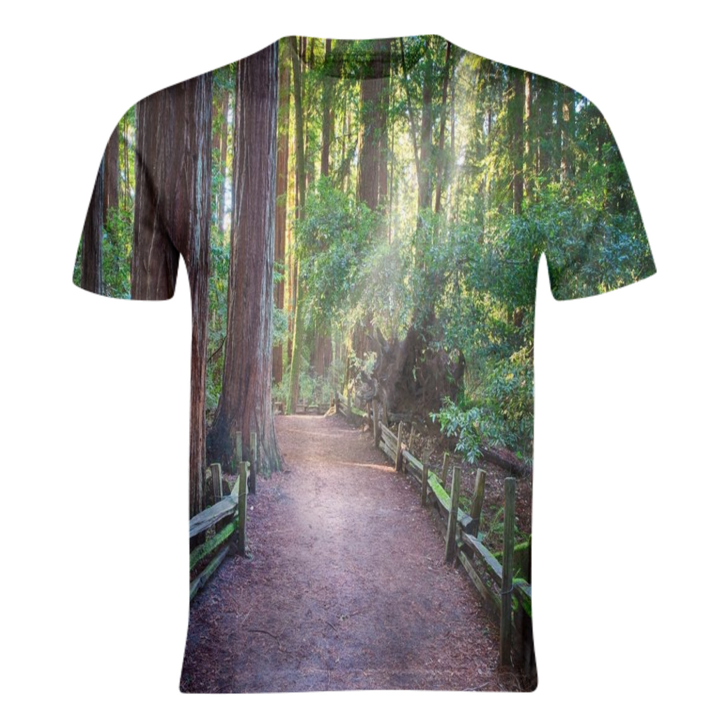 A Light in the Redwoods