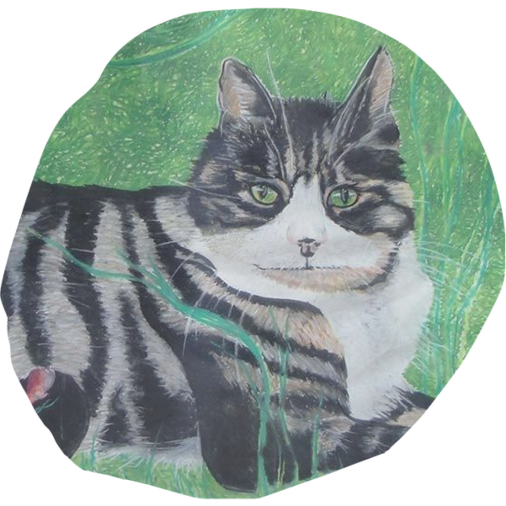 Striped Cat Bean Bag