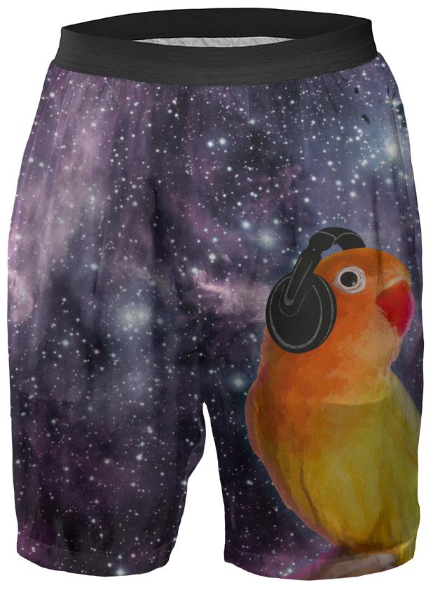 Space Bird Listening to Music Boxer Shorts
