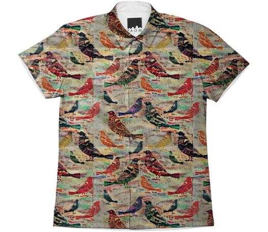 pigeons blouse