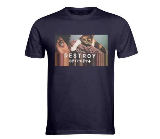 DestroyCat