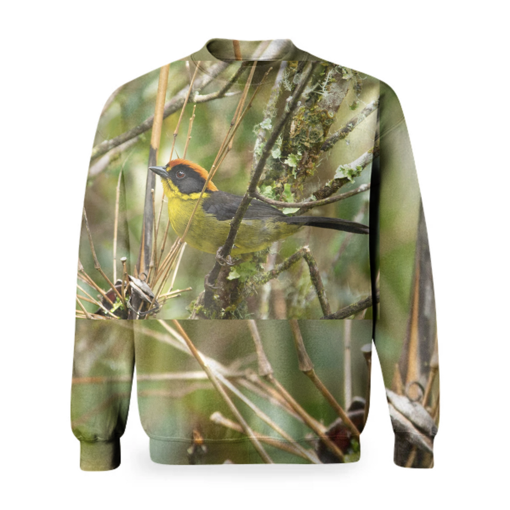 brush finch camo