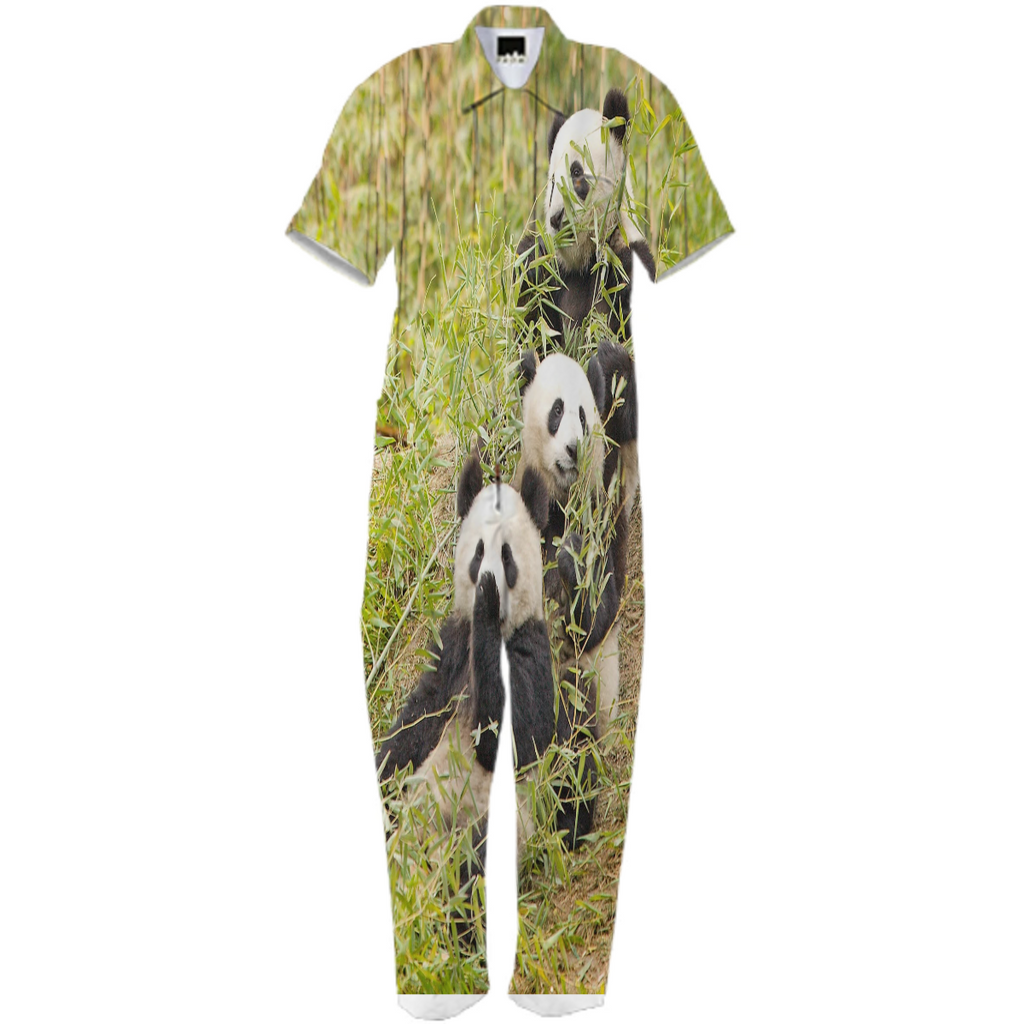 panda