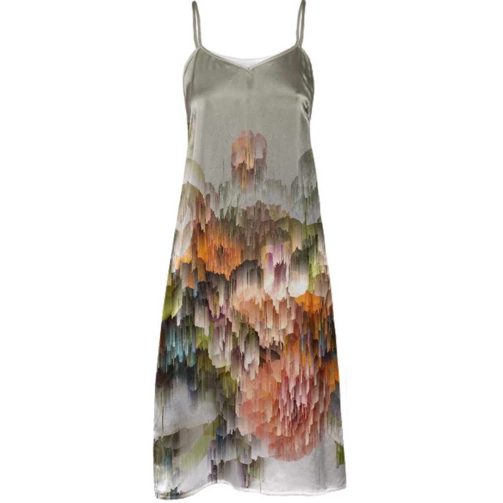 Silk Dress 2