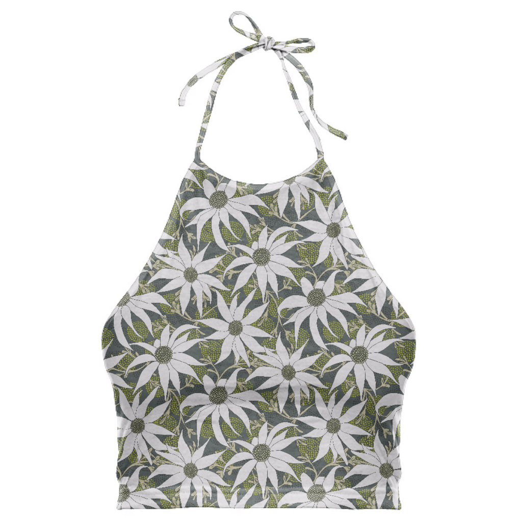 FLANNEL FLOWERS