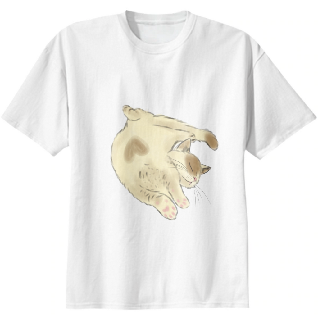 Nap Time! Adorable kitten takes a nap