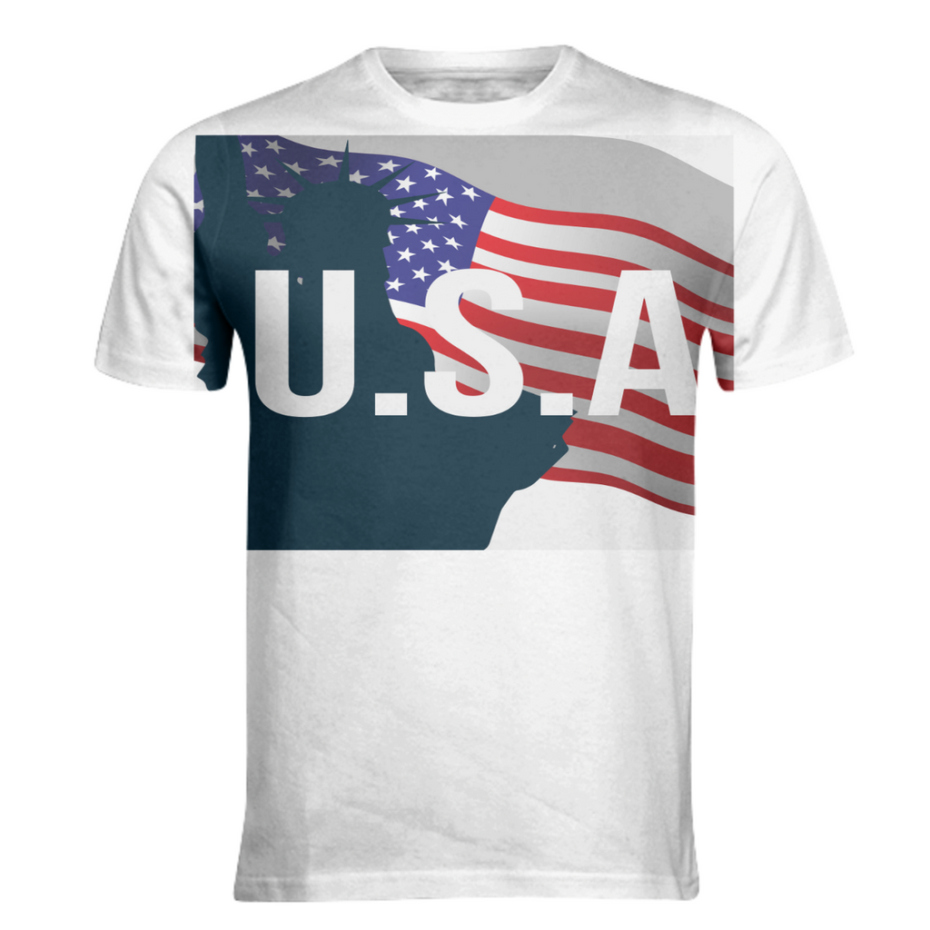 usa statue of liberty