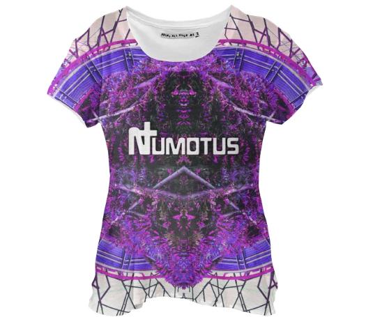 Abstract Numotus 1