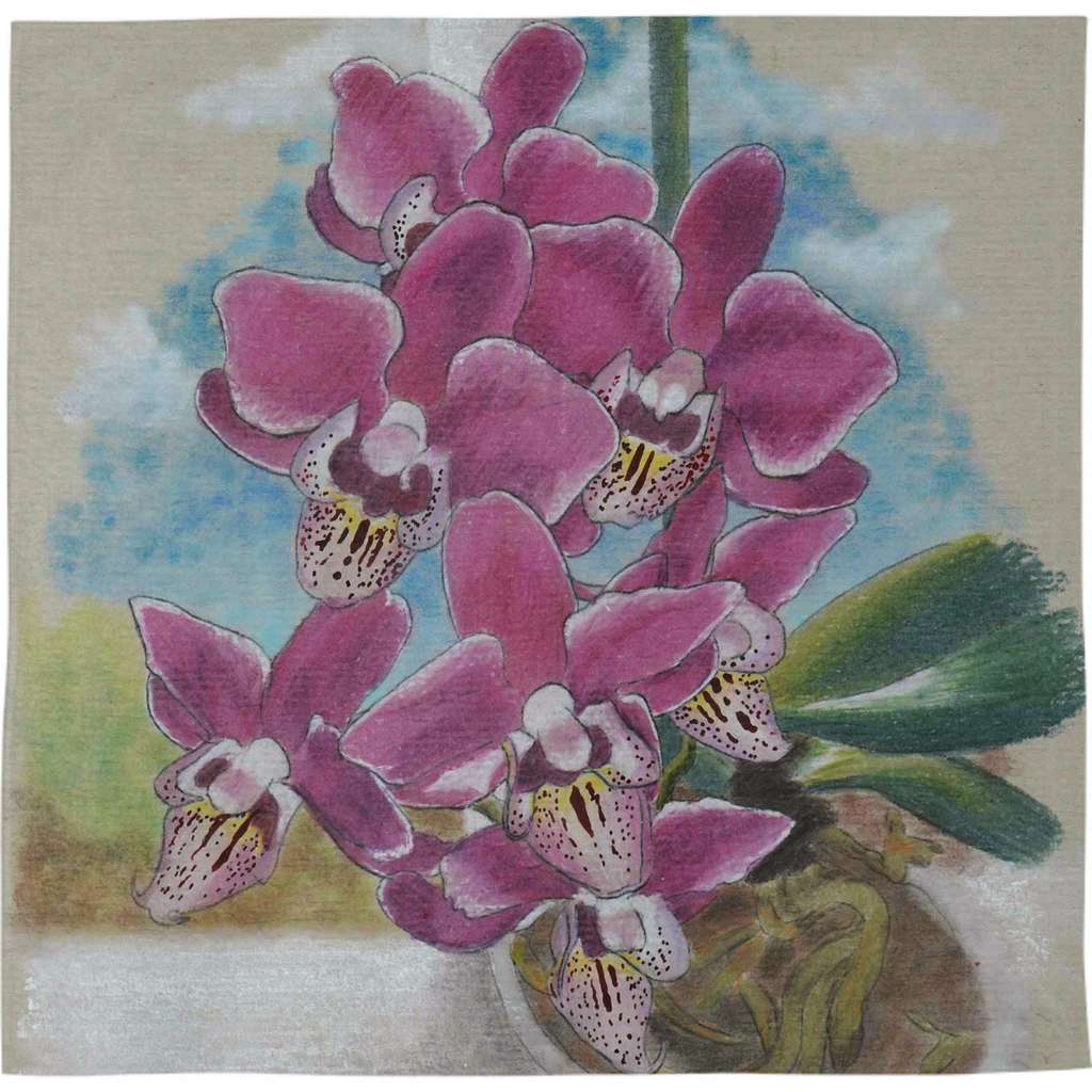 Orchid