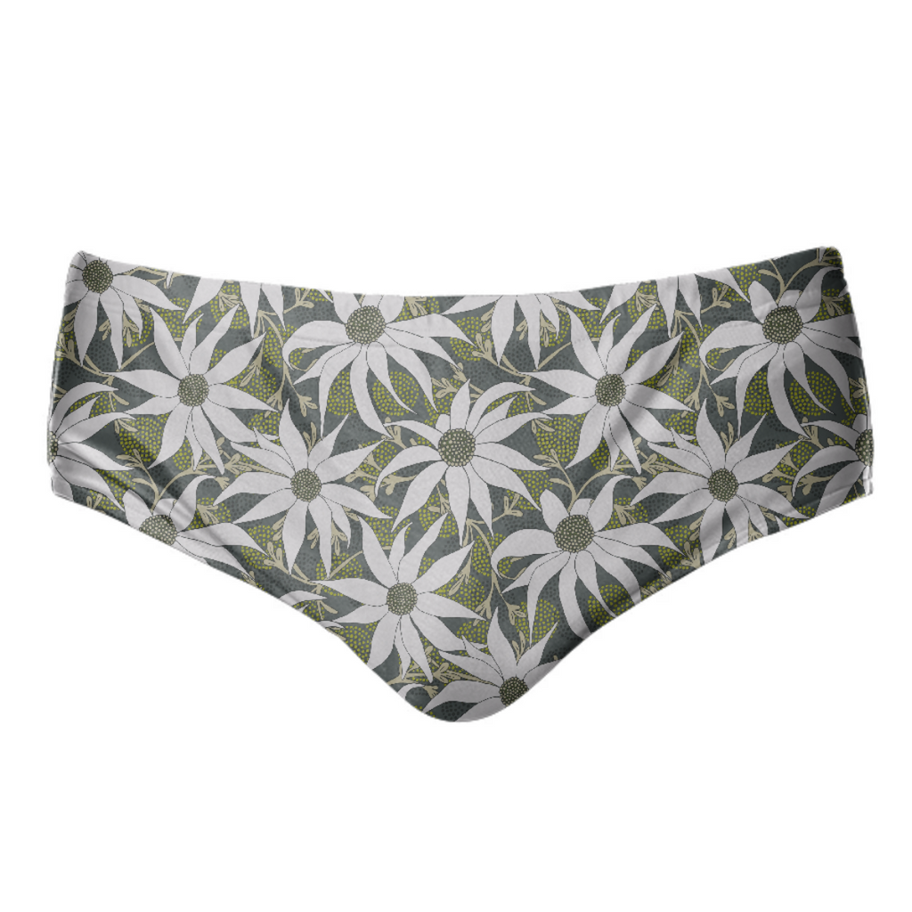FLANNEL FLOWERS