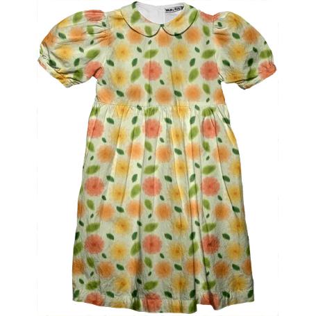 Fresh Floral