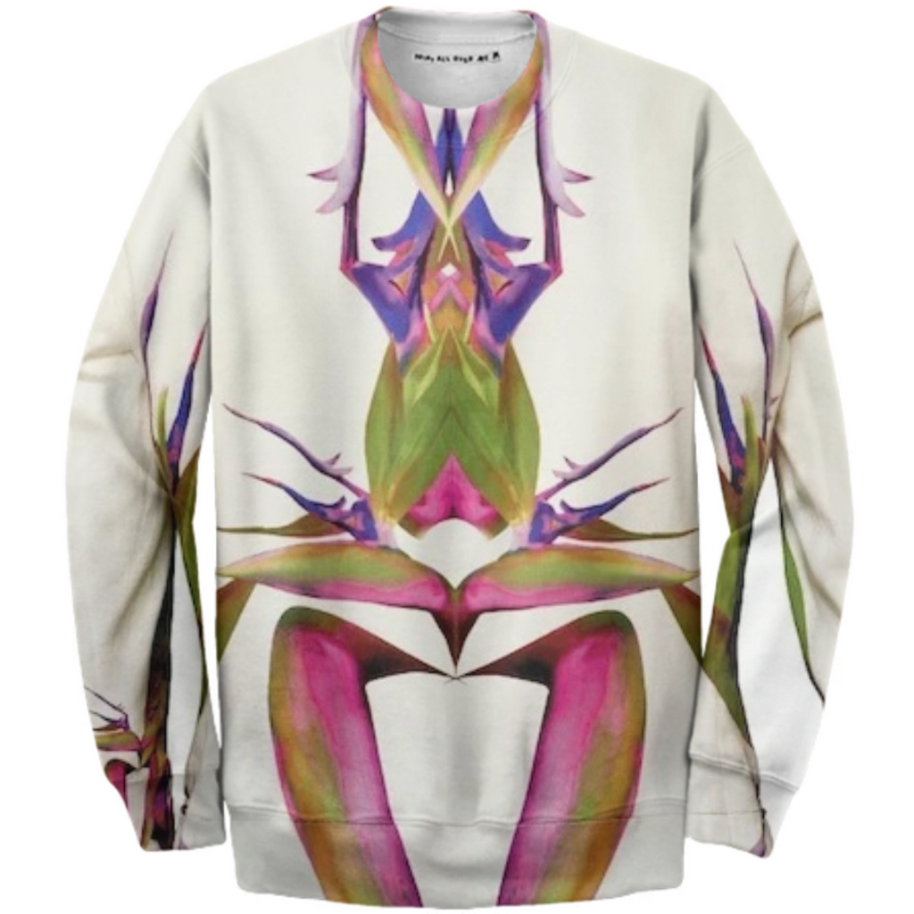 Transfiguration sweatshirt