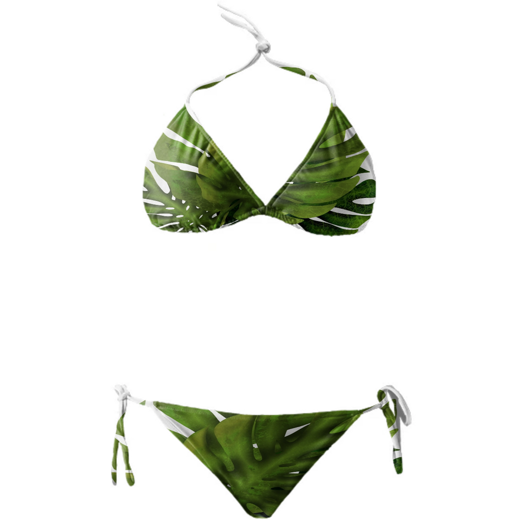 Mostera Leafs