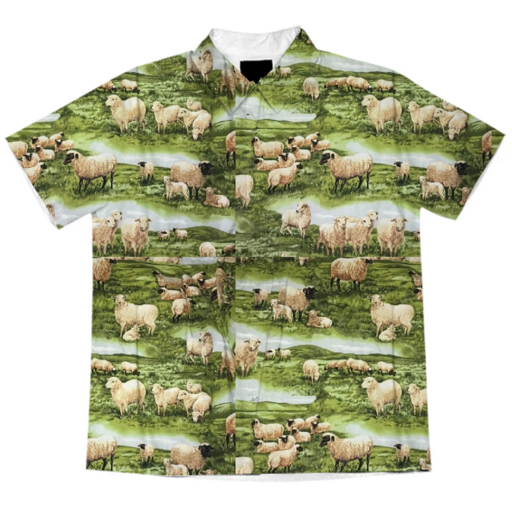 sheeps button up
