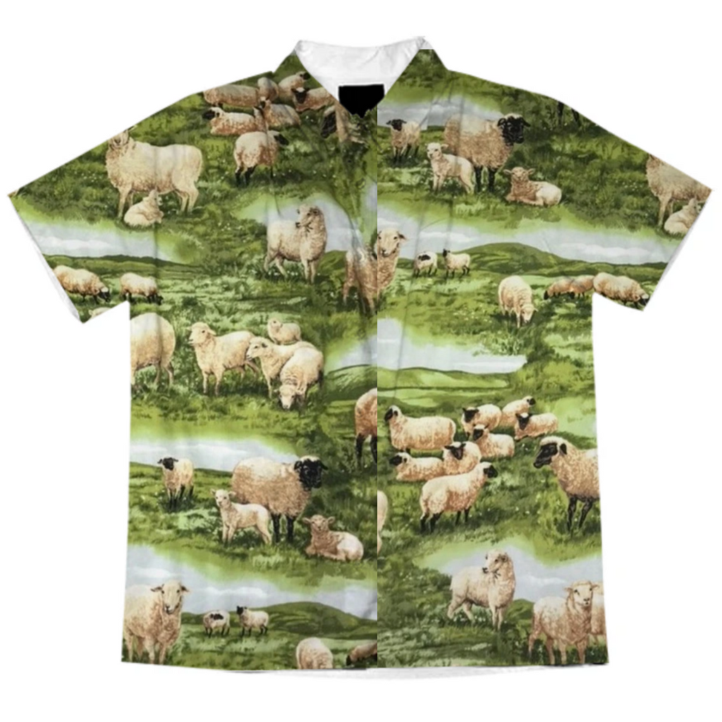 sheeps button up p2