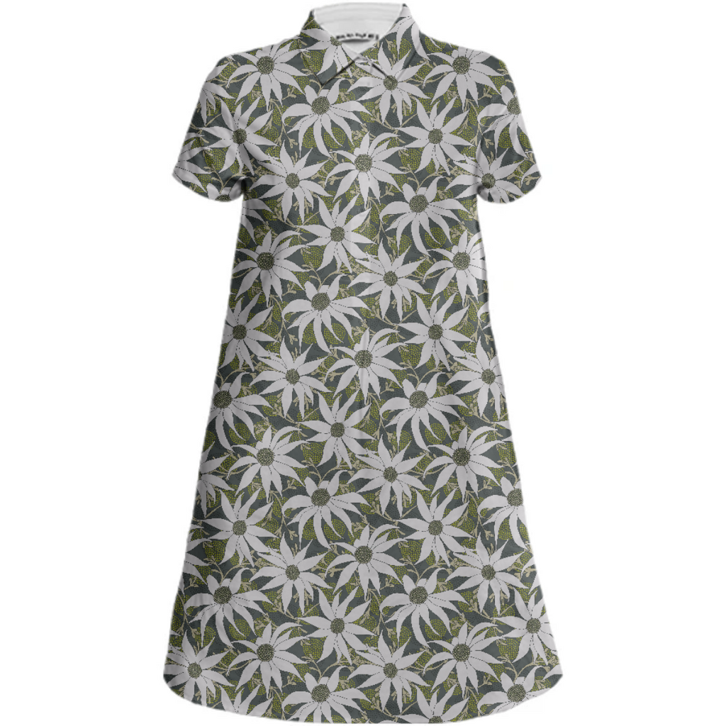 FLANNEL FLOWERS