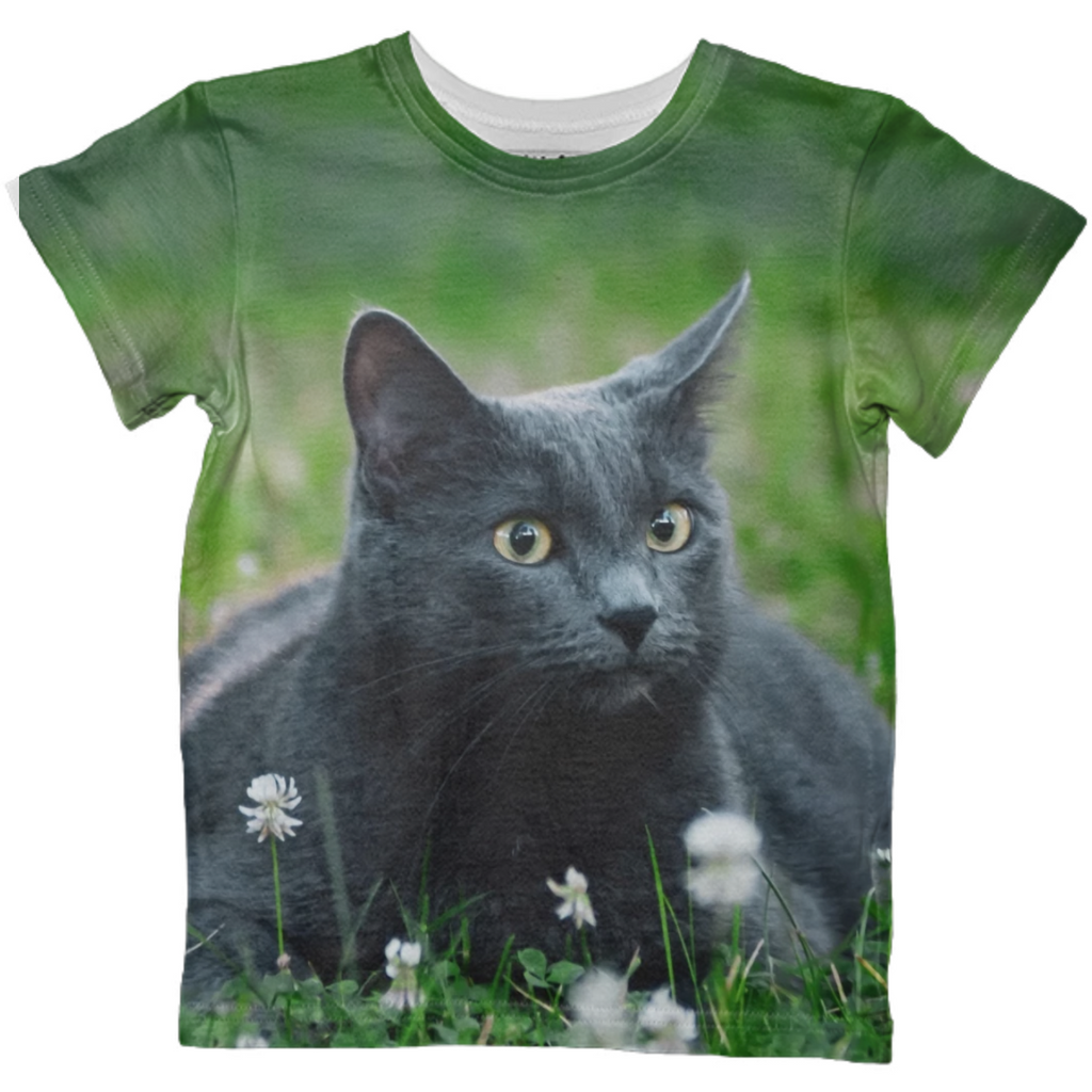 Summer Cat #6