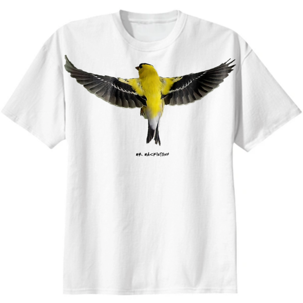 Mackintosh Goldfinch