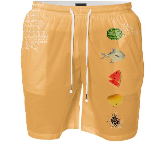 SS18 COLUMN SWIM SHORT