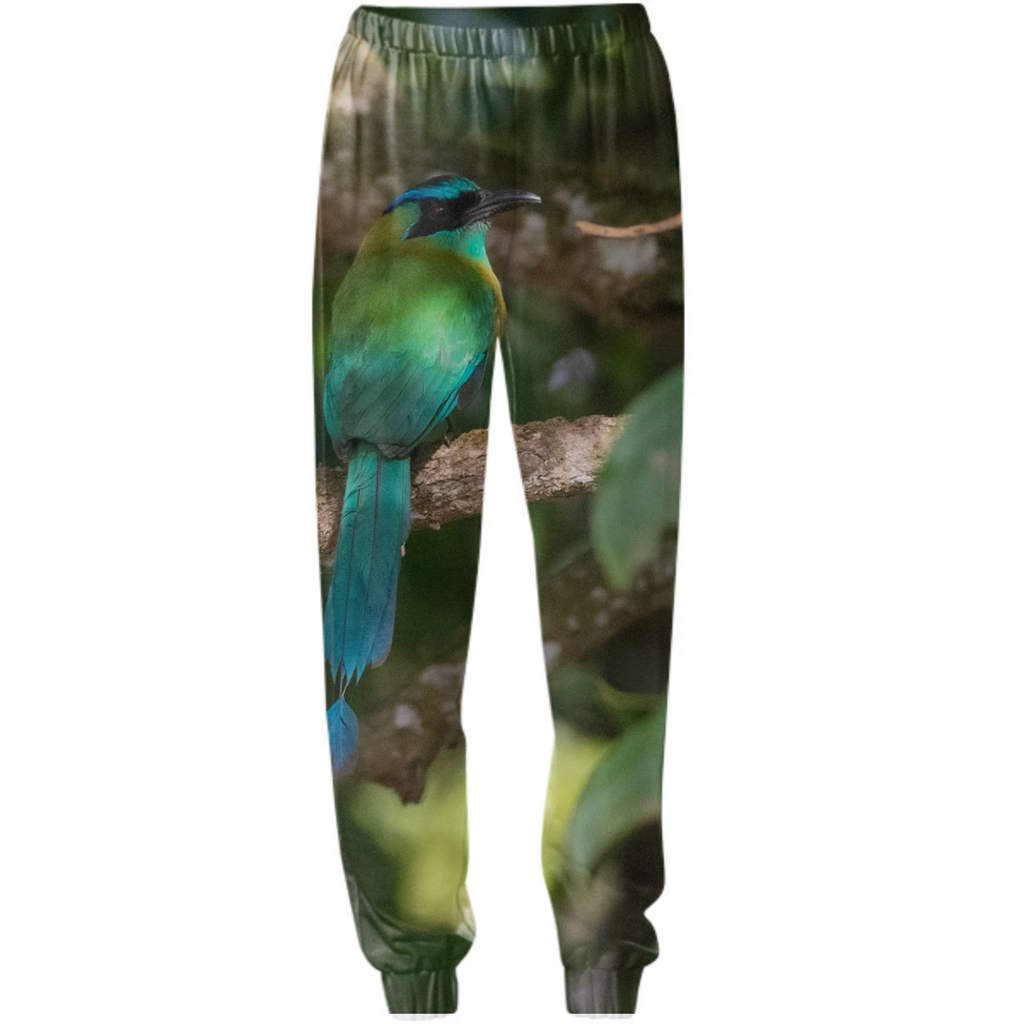 motmot on my pants