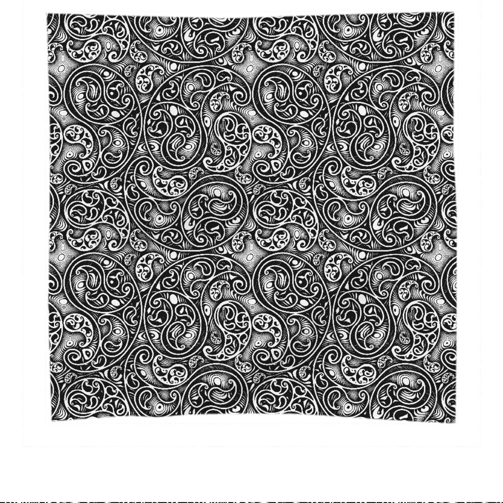 Black and White Paisley Swirls Spirals Pattern