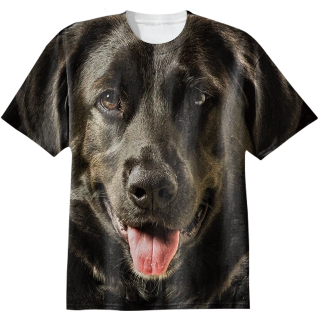 Labrador Retriever Dog