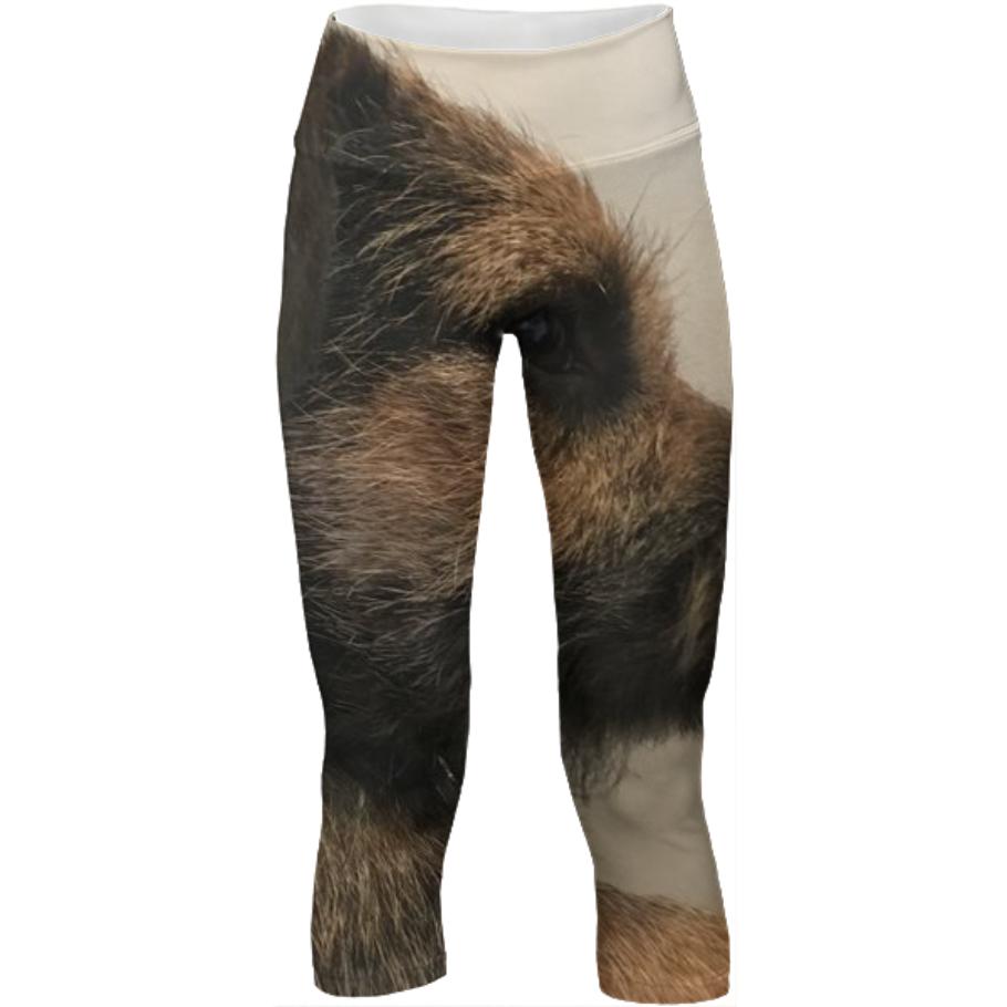 Rex yoga pants