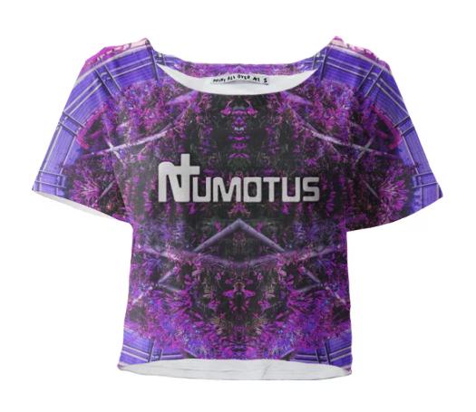 Numotus Abstract 1b