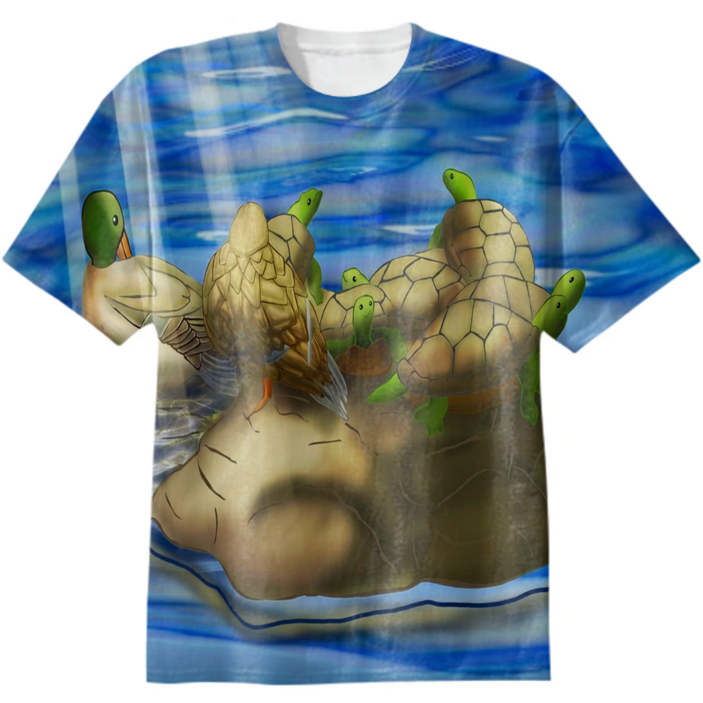 Turtles and Ducks on a Rock