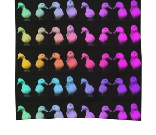 Rainbow Ducks Scarf