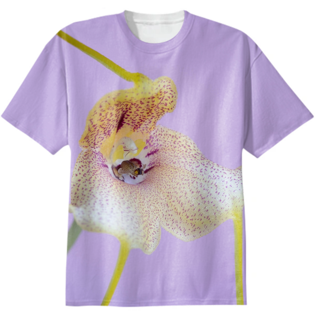 Masdevallia sp (vmol editions orchids)