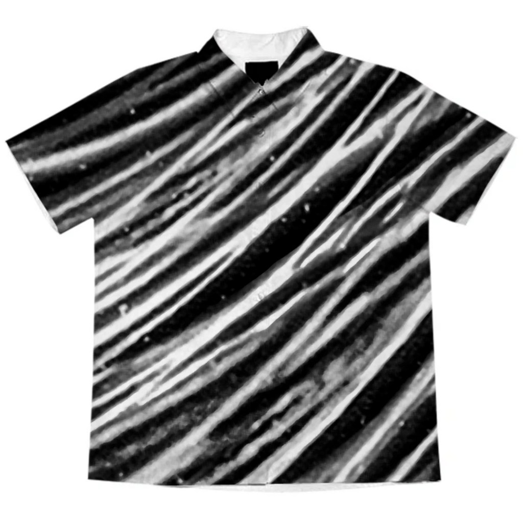 Black and White Modern Zebra Print