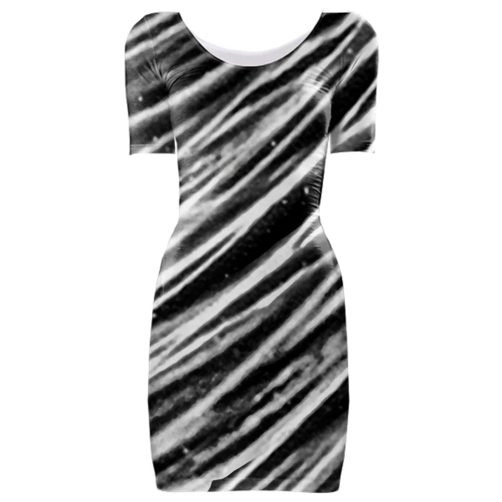 Black and White Modern Zebra Print